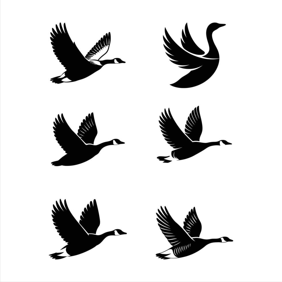 Bird Silhouette Design vector