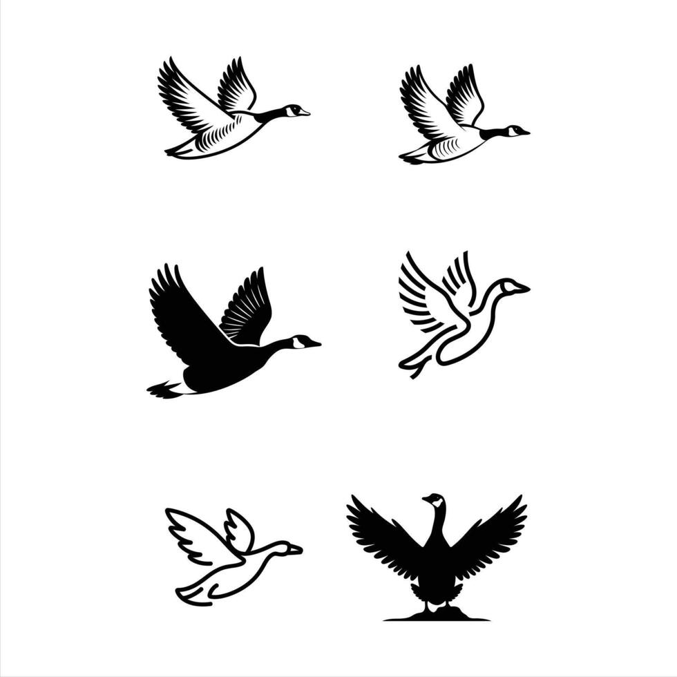 Line Art Bird Silhouette Design vector