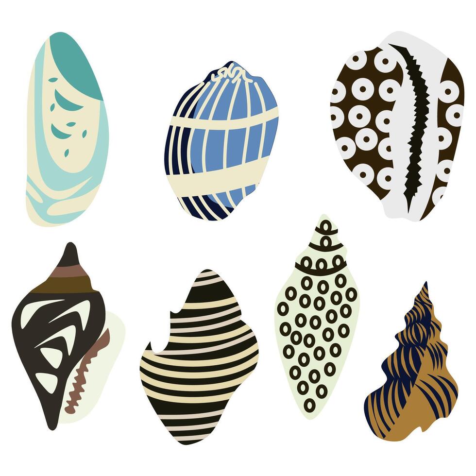 Seashells collection hand drawn vector