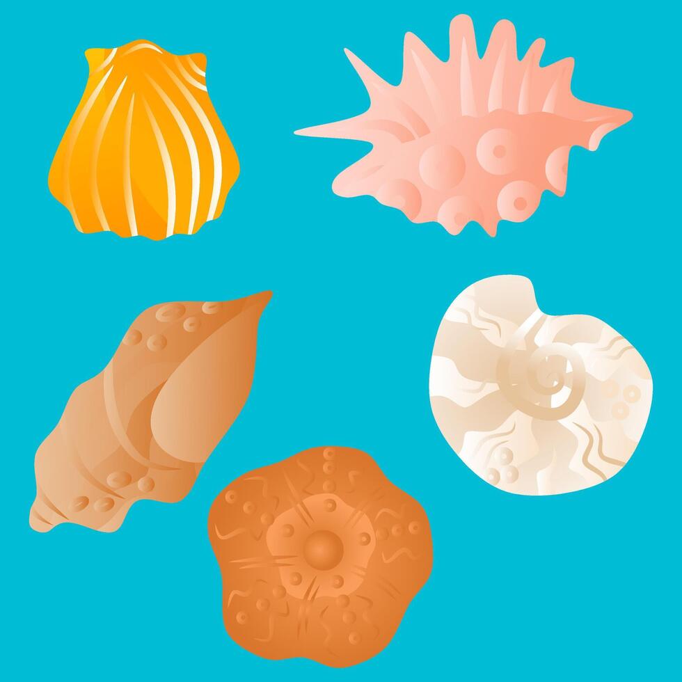 Set of different seashells on blue background vector
