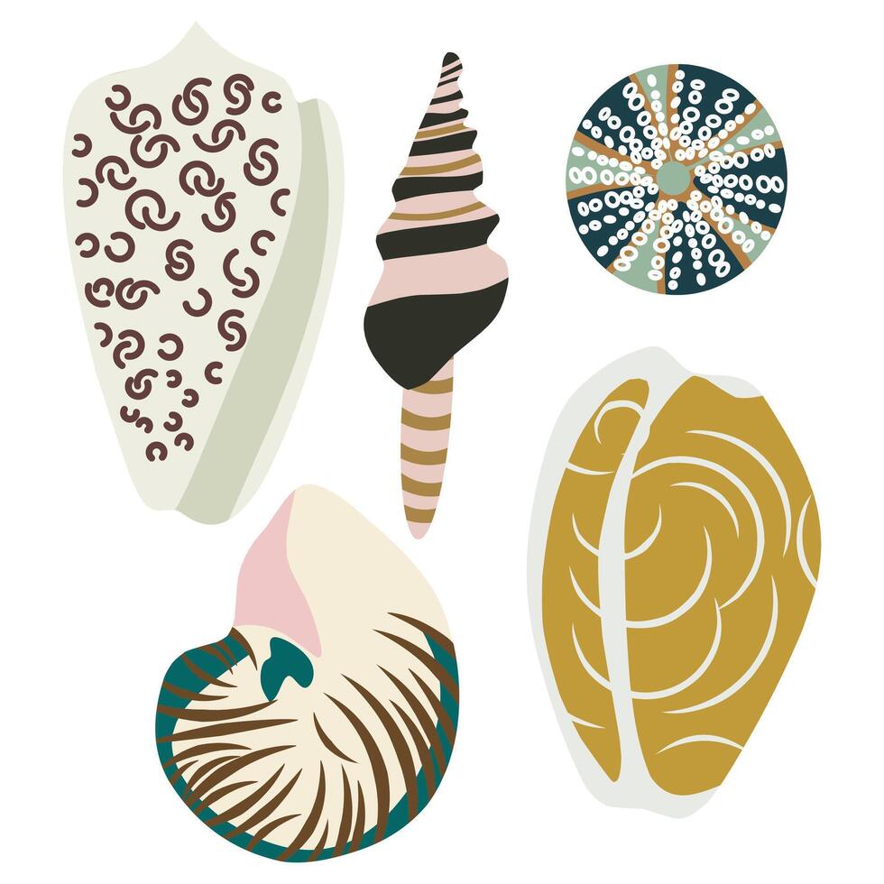 Set of hand drawn seashells vector