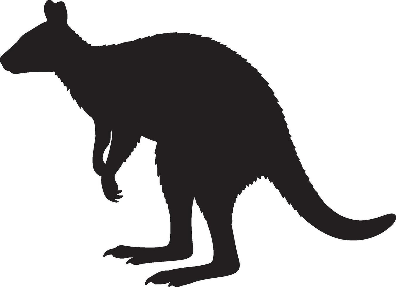 A silhouette of a Tree Kangaroo on a white background vector