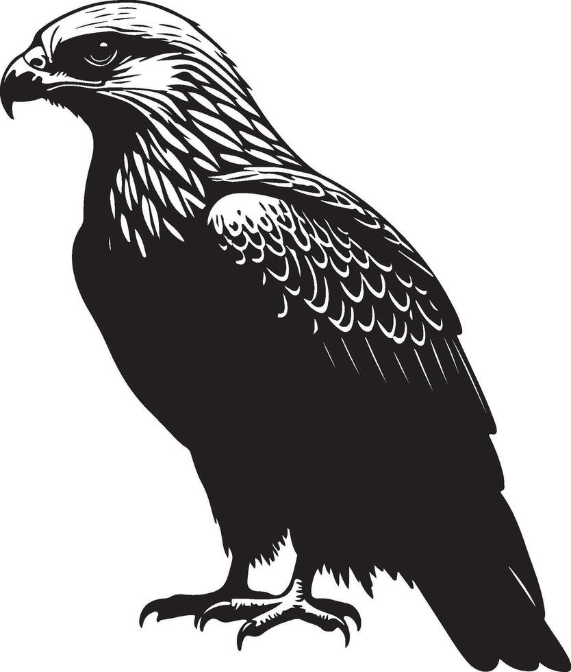 Eagle silhouette on white vector