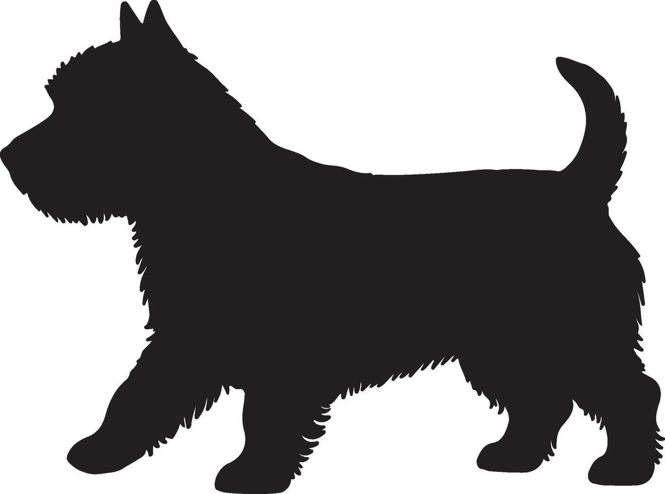 Norfolk Terrier Solid Black Silhouette vector