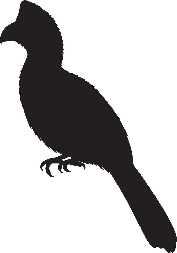 Turaco Solid Black Silhouette vector
