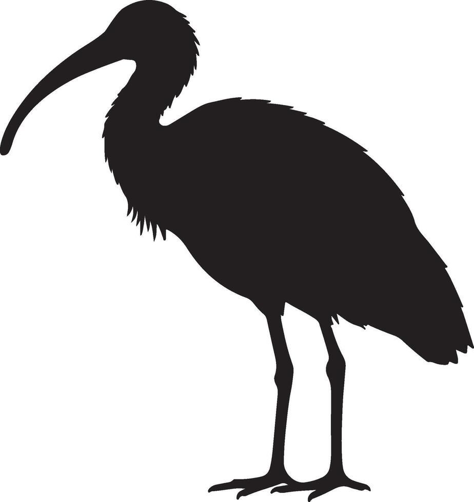 White-Shouldered Ibis Solid Black Silhouette vector