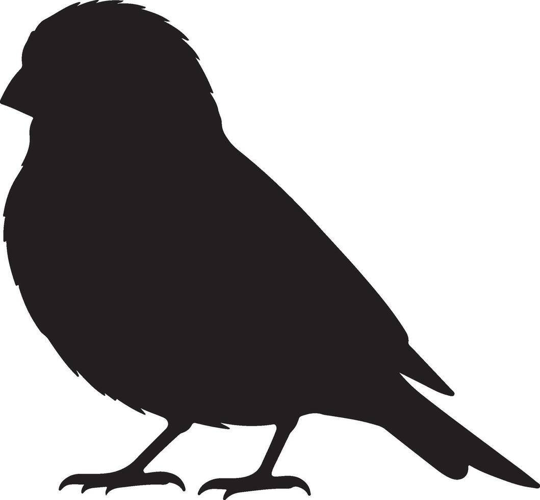 House Finch Solid Black Silhouette on white background vector