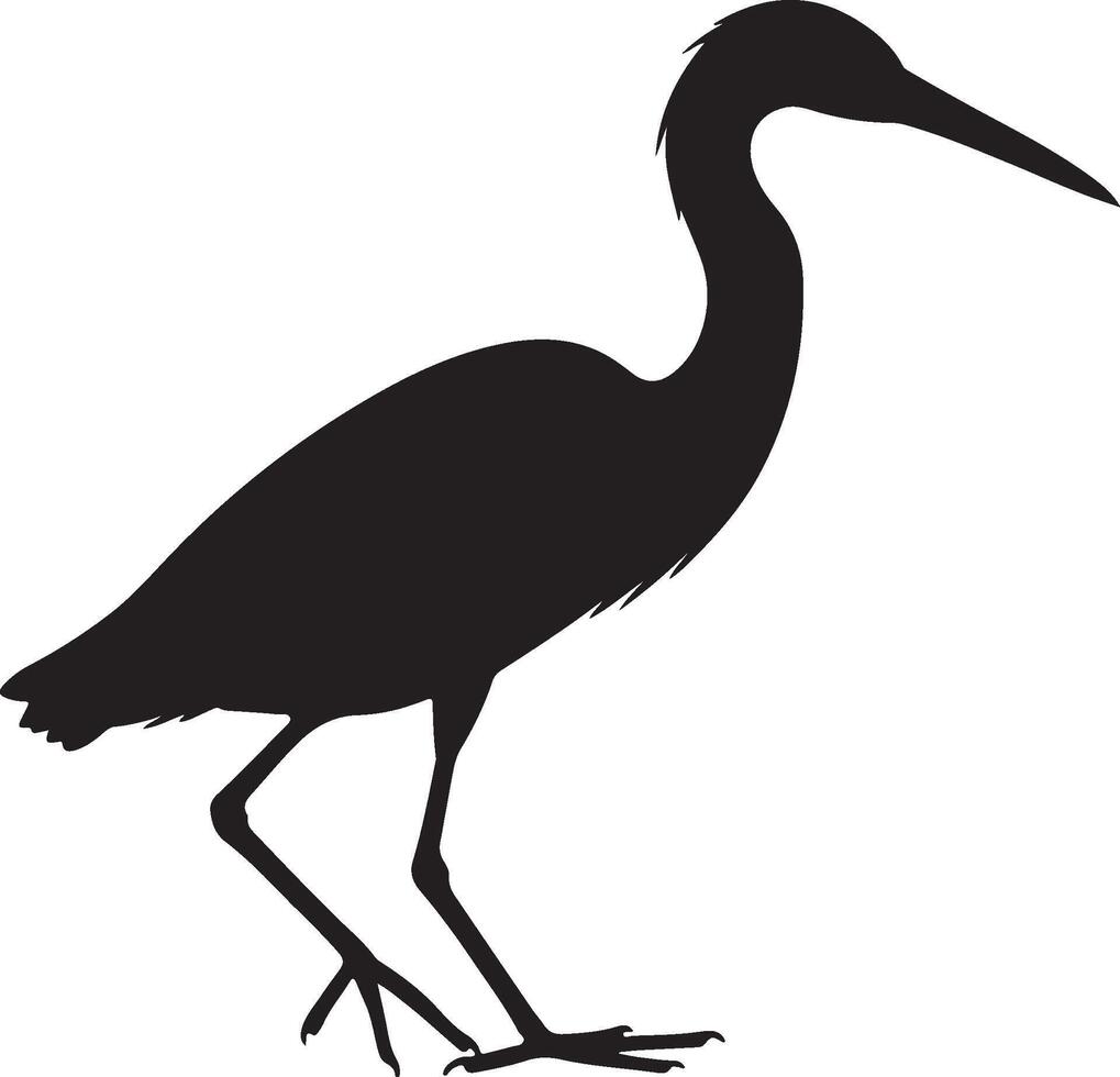 Tricolored Heron silhouette on white background vector