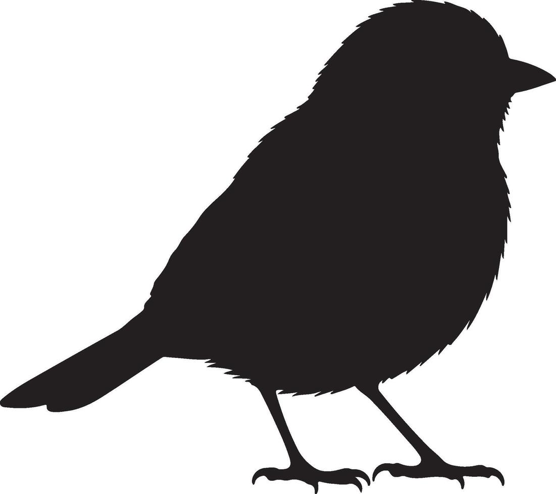 A black silhouette of a Indian yellow Tit on a white background vector