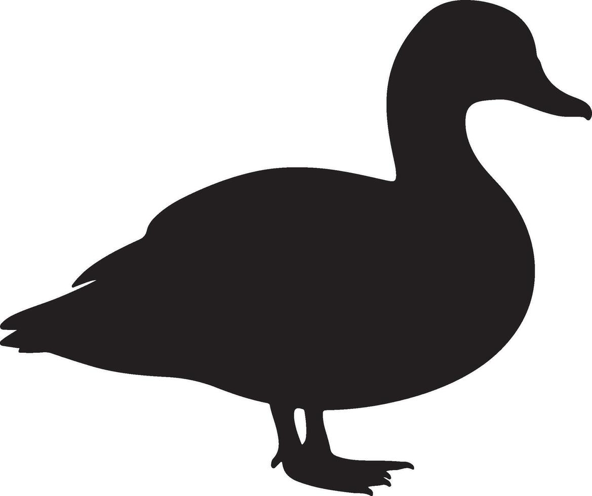 Shelduck Solid Black Silhouette vector