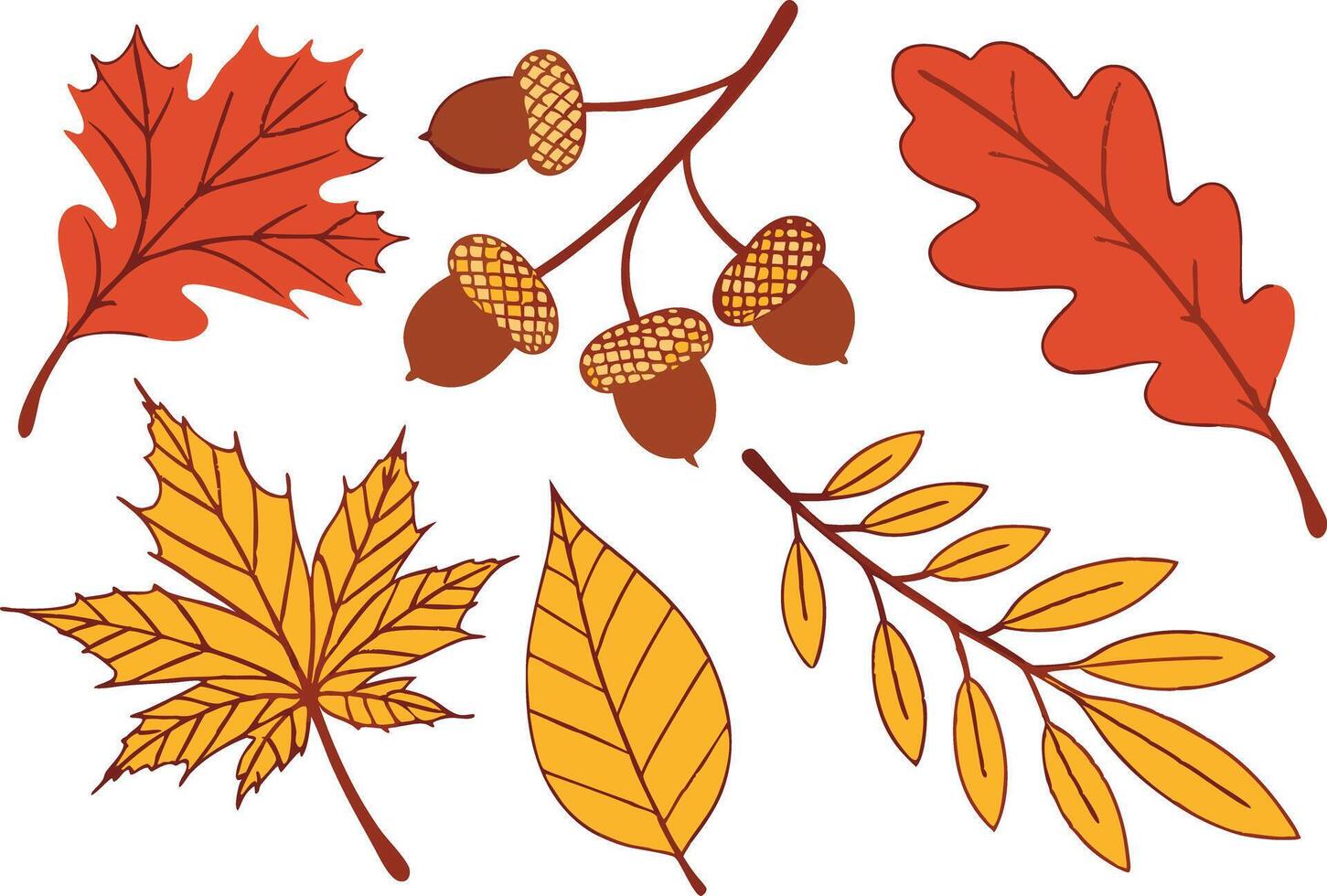 Colorful Thanksgiving Clipart for Print and Web vector