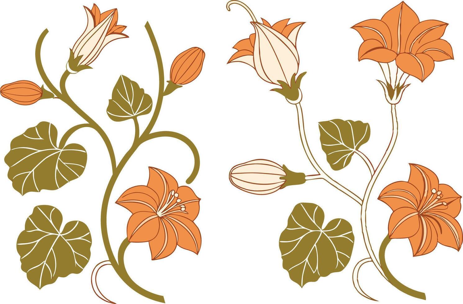 Botanical Pumpkin Flower Art for Fall Projects vector