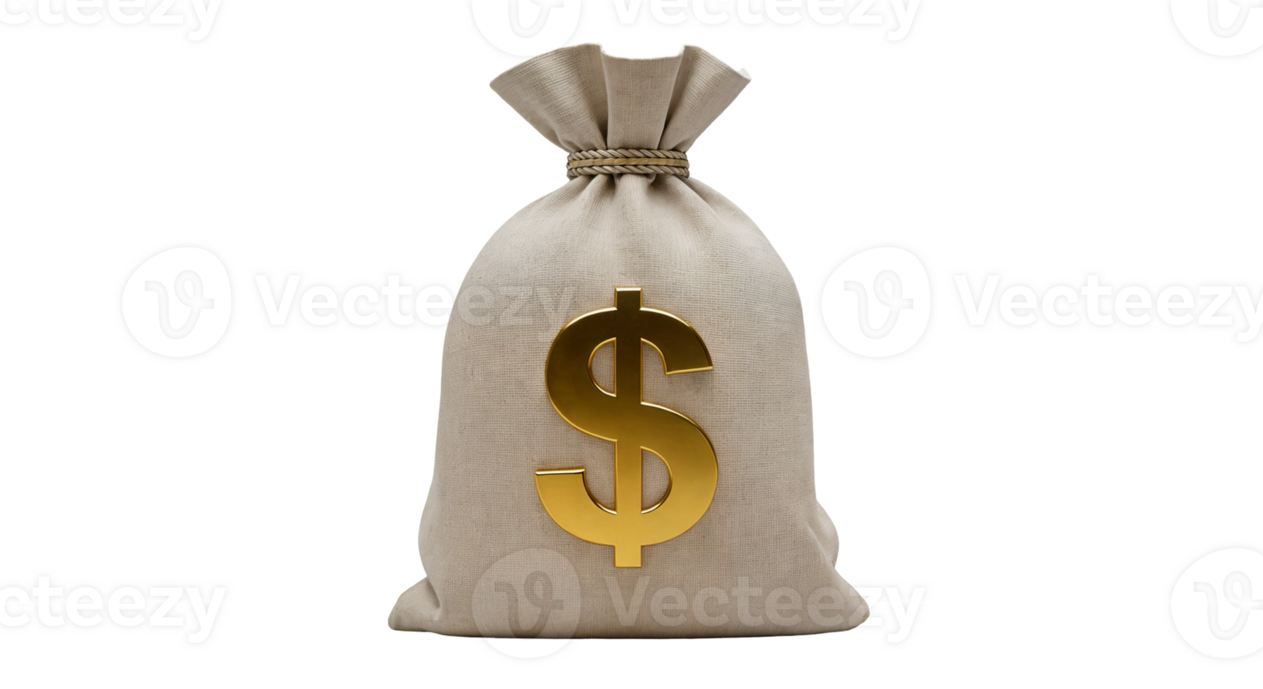 Isolated bag of money with gold dollar sign on transparent backdrop png