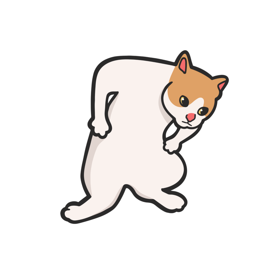 What are you doing pose Cat Meme Sticker Transparent Cute Illustration png