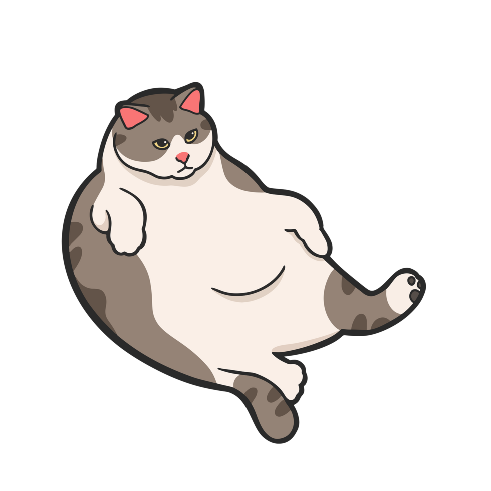 Fluffy Fat Cat Meme Sticker Transparent Cute Illustration png
