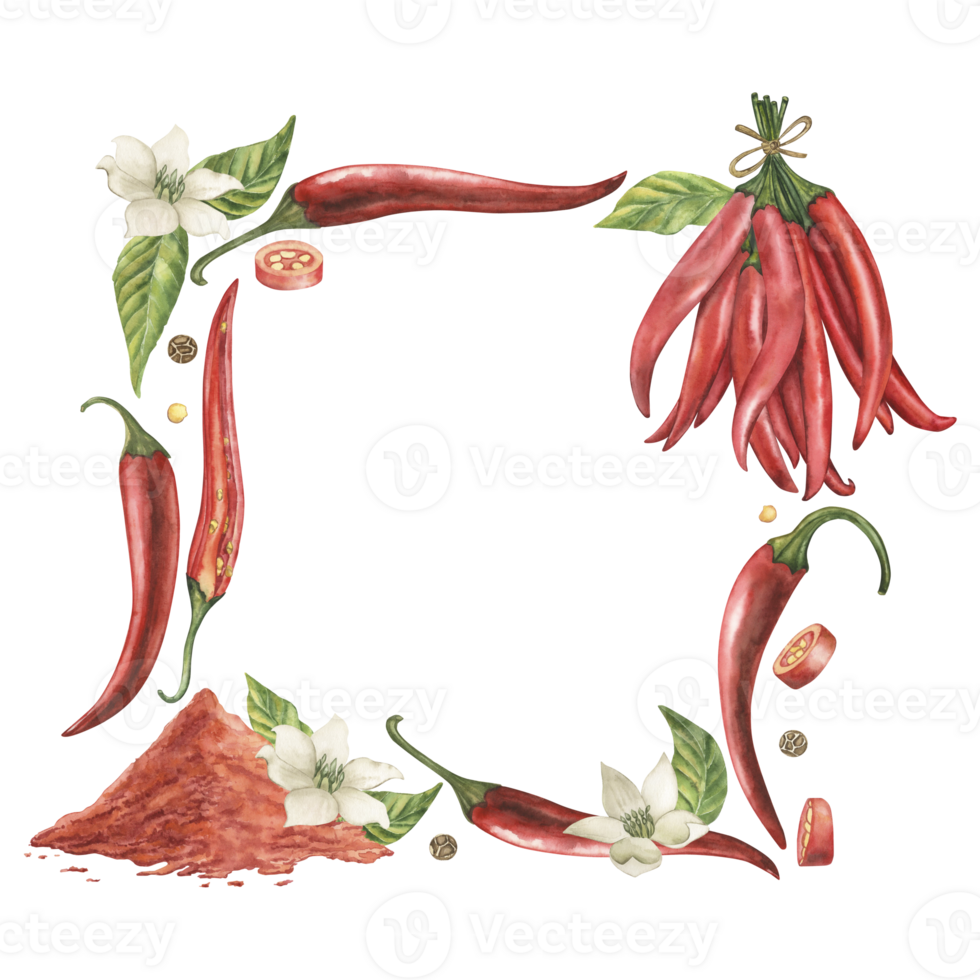 A square frame with fruits, leaves, flowers, seeds of red hot chili pepper, with a mound of ground pepper. The watercolor illustration is drawn in watercolor in a botanical style. For packaging png