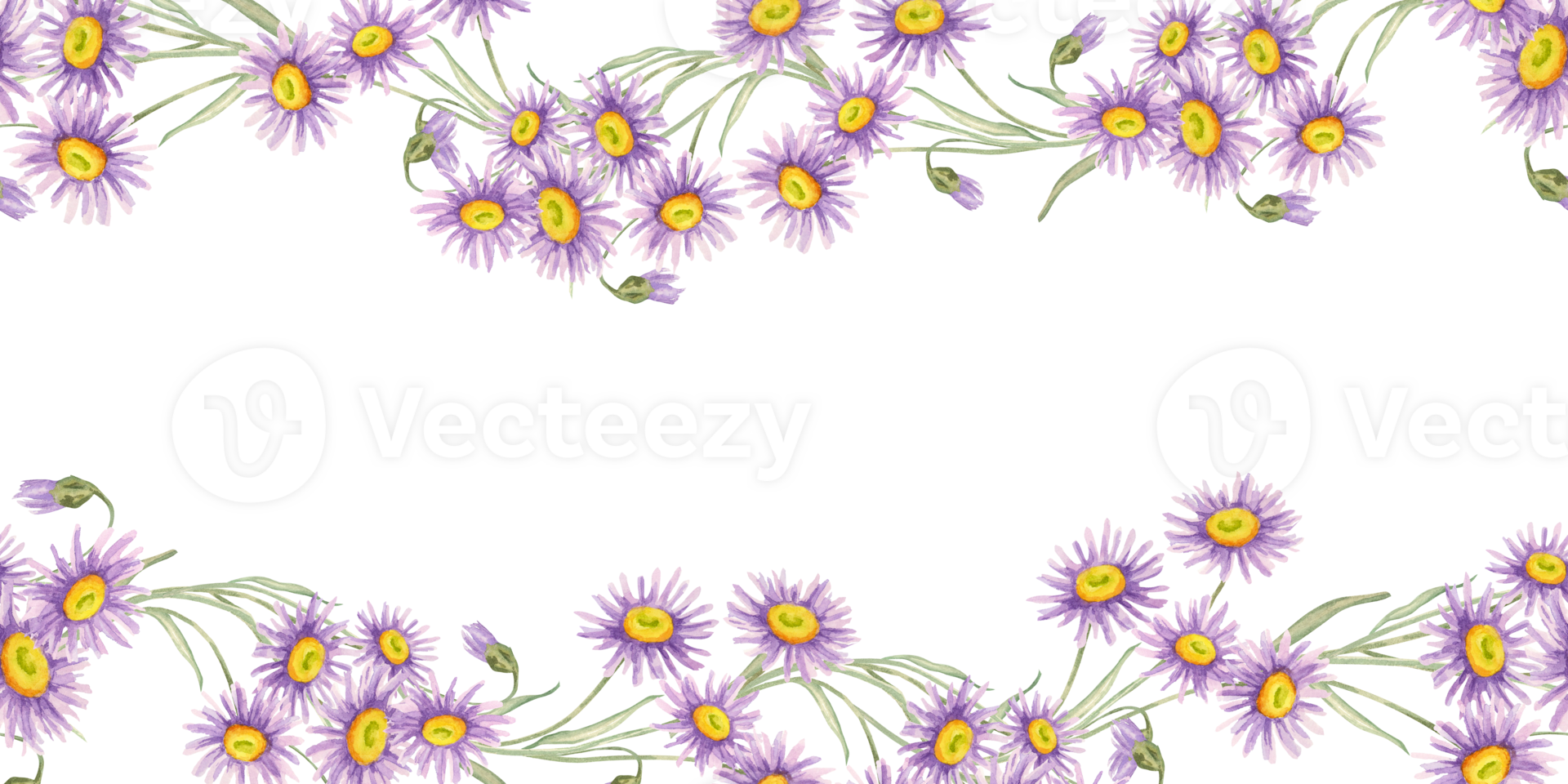 Dense cluster of violet asters with green leaves aligned in a floral band. Seamless border Watercolor clipart perfect for wrapping paper trims, branding materials, or fabric border designs png