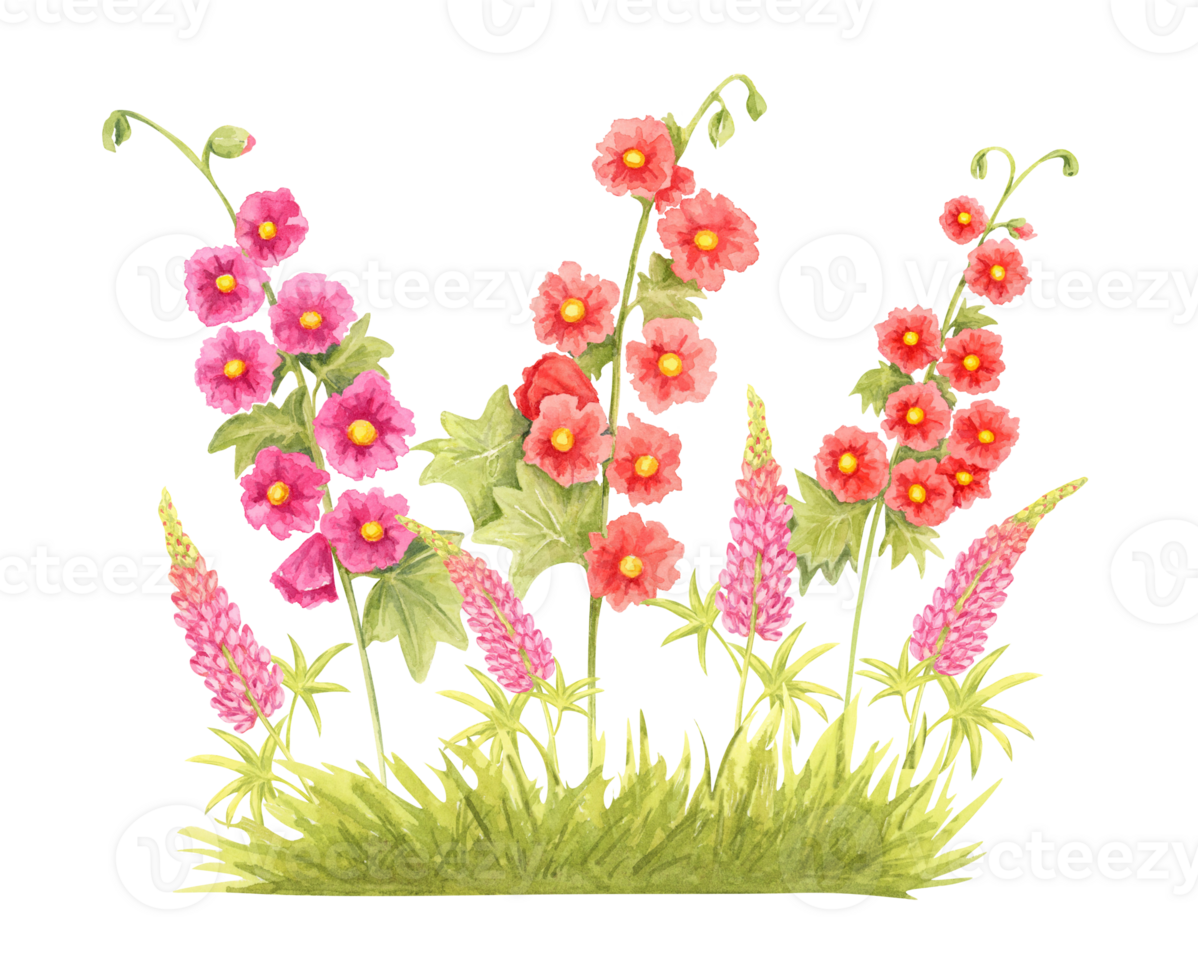 Watercolor illustration of red hollyhocks and pink lupins with green grass. Botanical bright wildflower gardening clipart for outdoor event invitations, nursery decor, or floral journal elements png