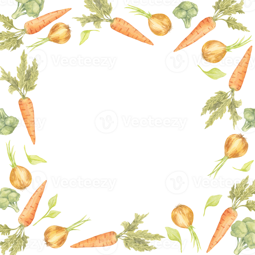 Green broccoli, orange carrots, and golden onions create a square watercolor clipart frame template. Useful for recipe book layouts, eco-food packaging, or kitchen-themed printables png