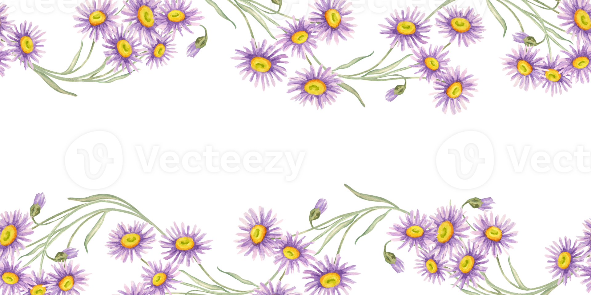Bright aster blossoms in a flowing arrangement of violet petals and green stems. Seamless border Watercolor clipart suitable for notebook cover edges, digital scrapbooking, or product labels png