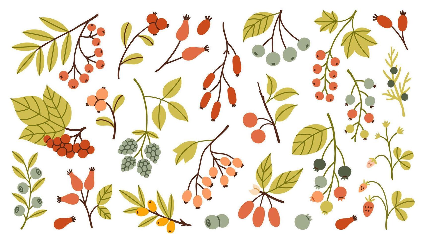 Simple autumn berries and twigs in warm red, orange, green and yellow tones. Different shapes and leaves make this perfect for seasonal designs and cozy fall themes. Flat design illustration. vector