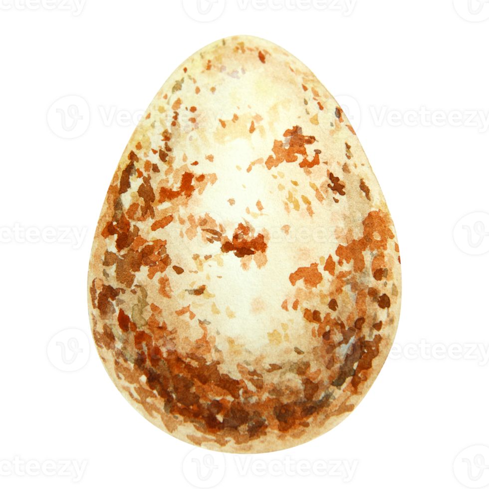 Watercolor illustration of a speckled bird egg in warm brown and beige tones. Suitable for spring, Easter, nature themes, and wildlife-inspired designs. Hand-painted with soft texture. png