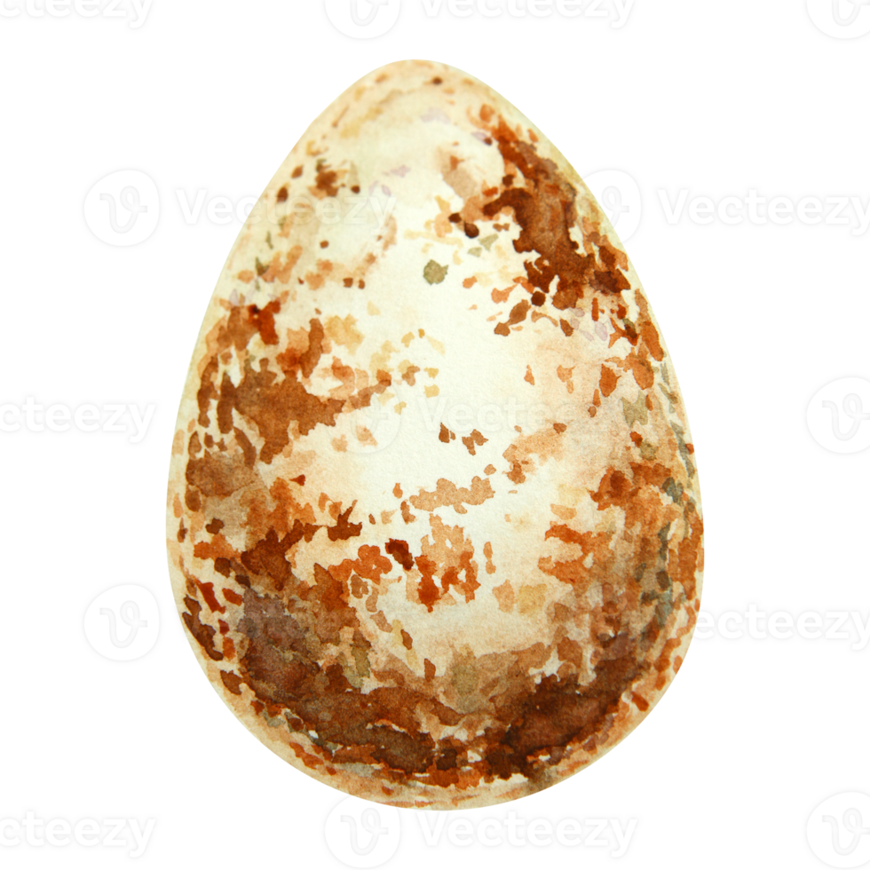 Watercolor illustration of a brown speckled wild bird egg in natural earthy tones. Perfect for spring, Easter, wildlife, and rustic-themed designs. Hand-painted with organic texture. png