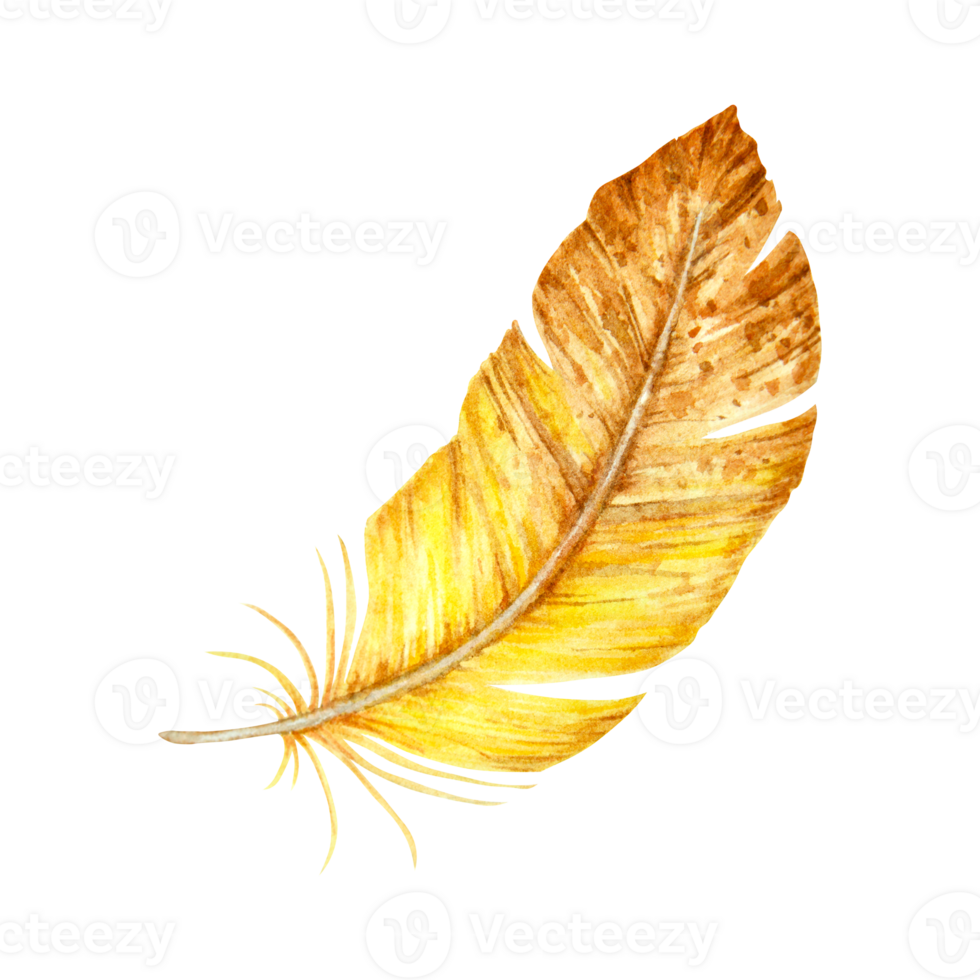 Watercolor illustration of a single yellow-brown feather with soft texture and curved shape. Suitable for boho-themed designs, natural compositions, and seasonal decorations. png