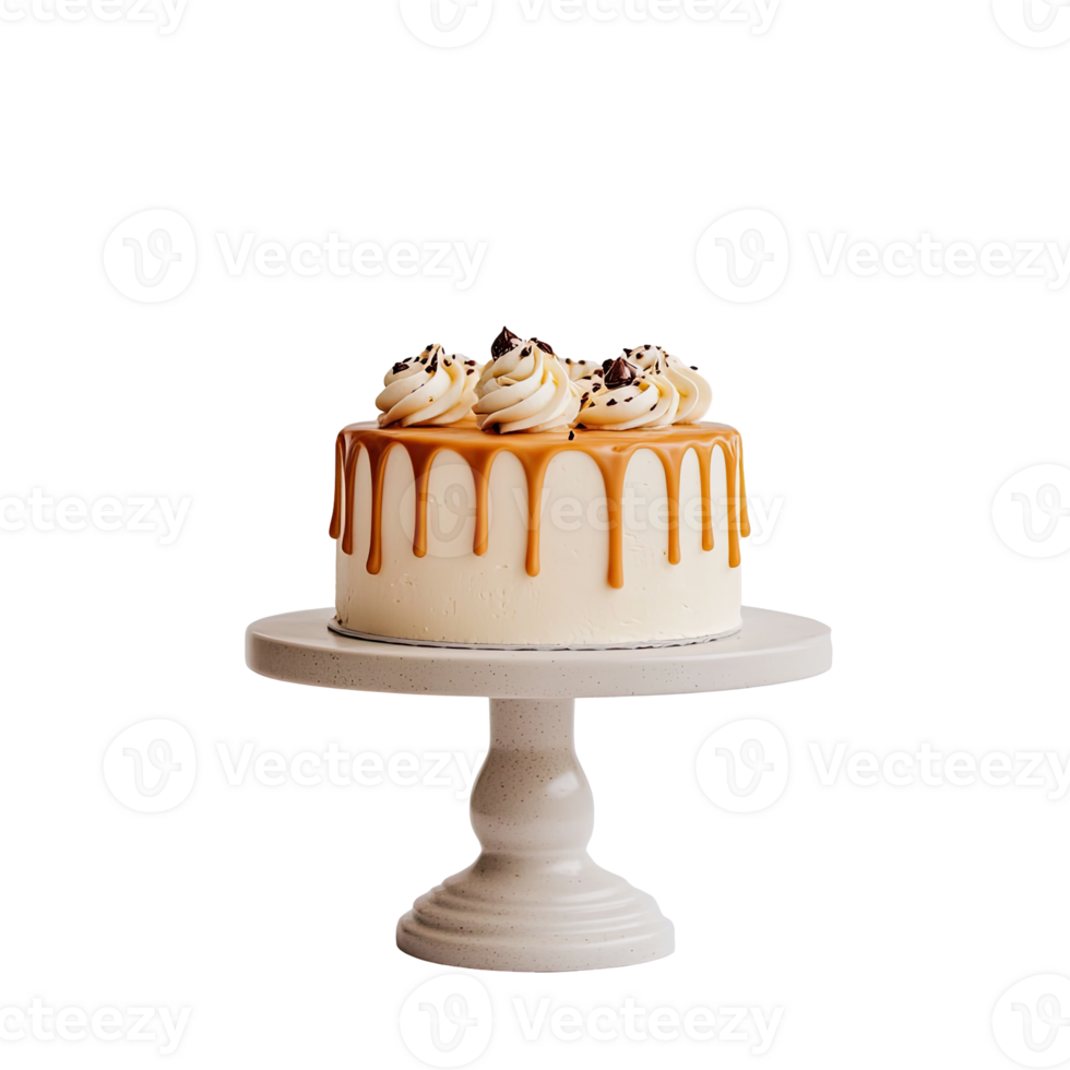 A white cake with caramel drizzle on top png