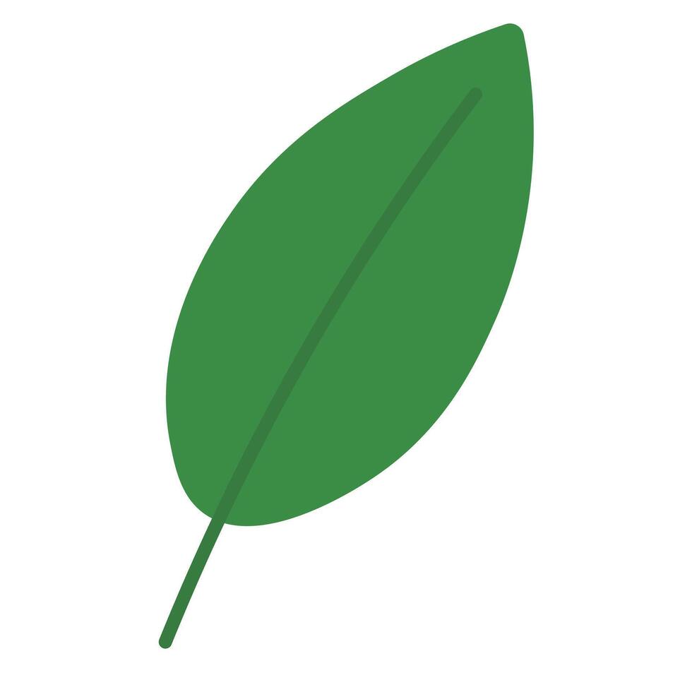 Clean Flat Leaves with Tropical Color vector