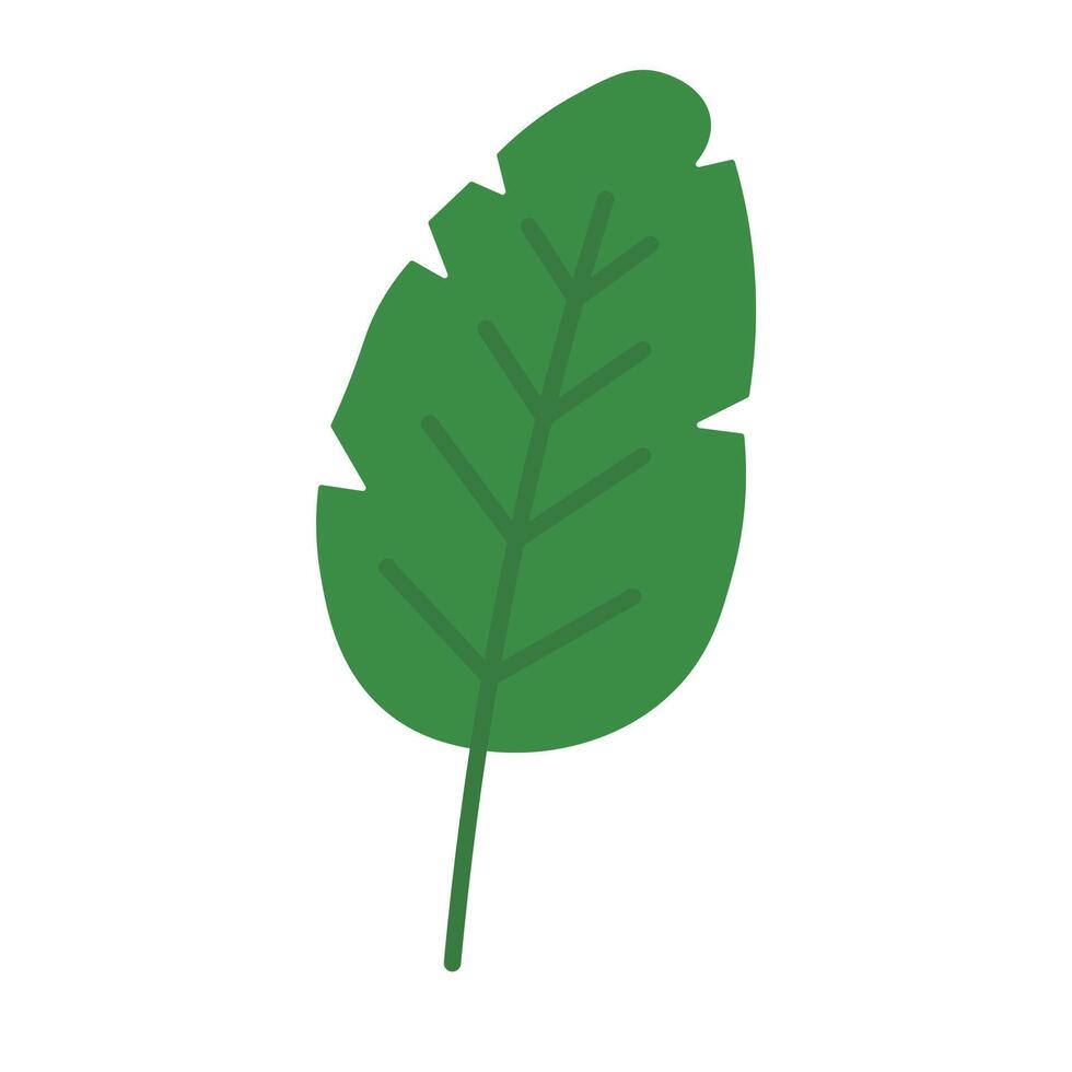 Smooth Green Tropic-Inspired Leaf vector