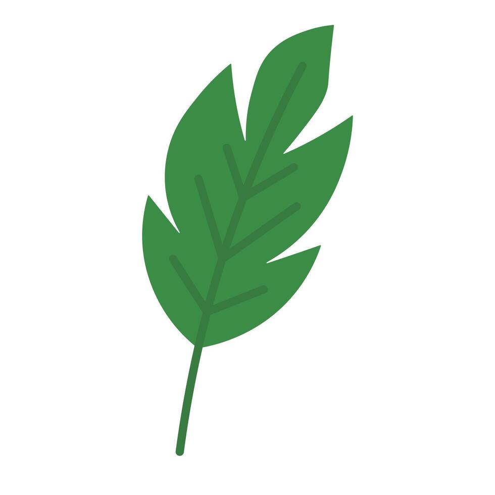 Bold Green Leaf from the Tropics vector