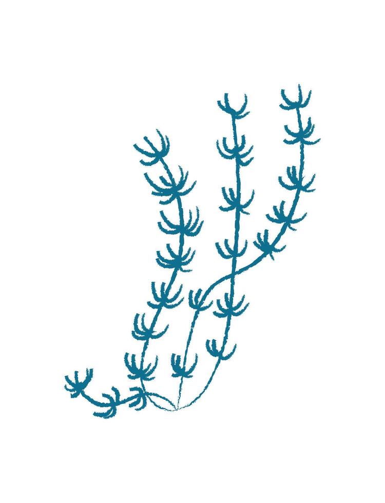 Aquatic seaweed silhouette doodle. Marine plant representation in the ocean. Underwater life concept, flat visual style, ideal for summer backgrounds or aquatic projects. vector
