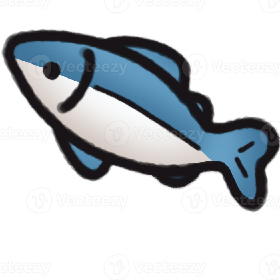 The illustration of a tuna png