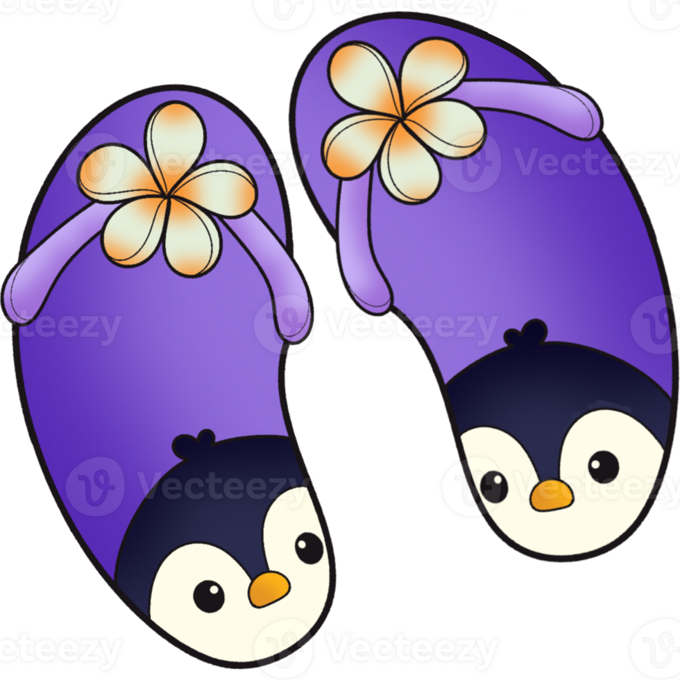 The illustration of a flip flops png