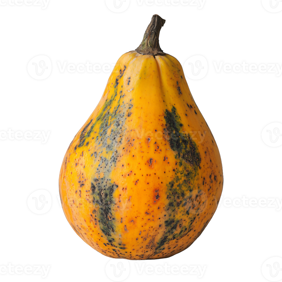a single papaya squash on a transparent background png
