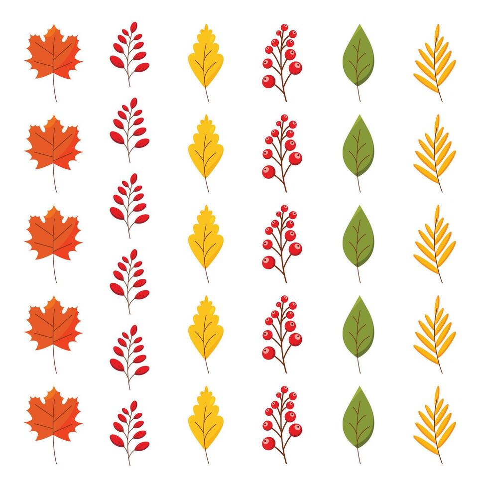 A set of stylized autumn leaves and berries, maple leaf, rowan branch, oak leaf. vector