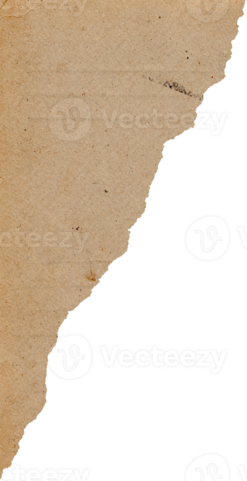 Old Paper Torn Scrap Decoration png