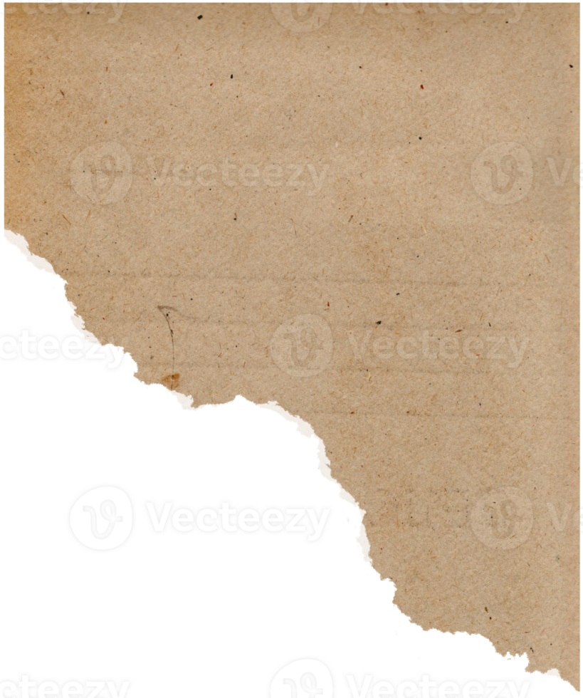 Vintage Ripped Paper Note Piece png
