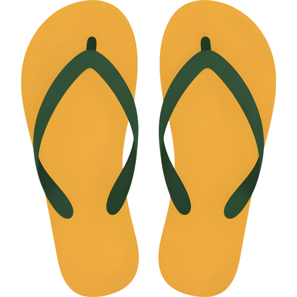 Pair of Green Flip Flops png