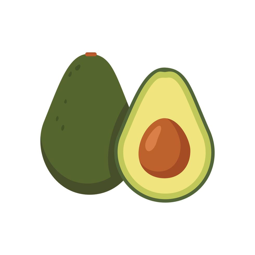 Avocado Whole and Sliced a Fresh Fruit Illustration vector