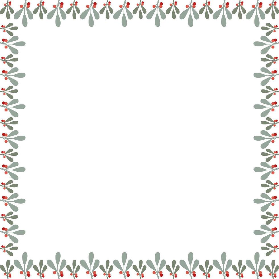 Plant branches with berries frame. Christmas plants empty frame box. Holy tree leaves and berry vector