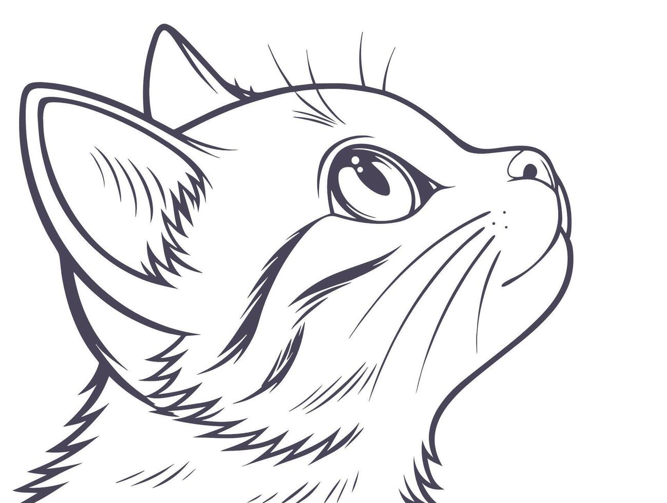 Cat face. Drawn cat head. illustration vector