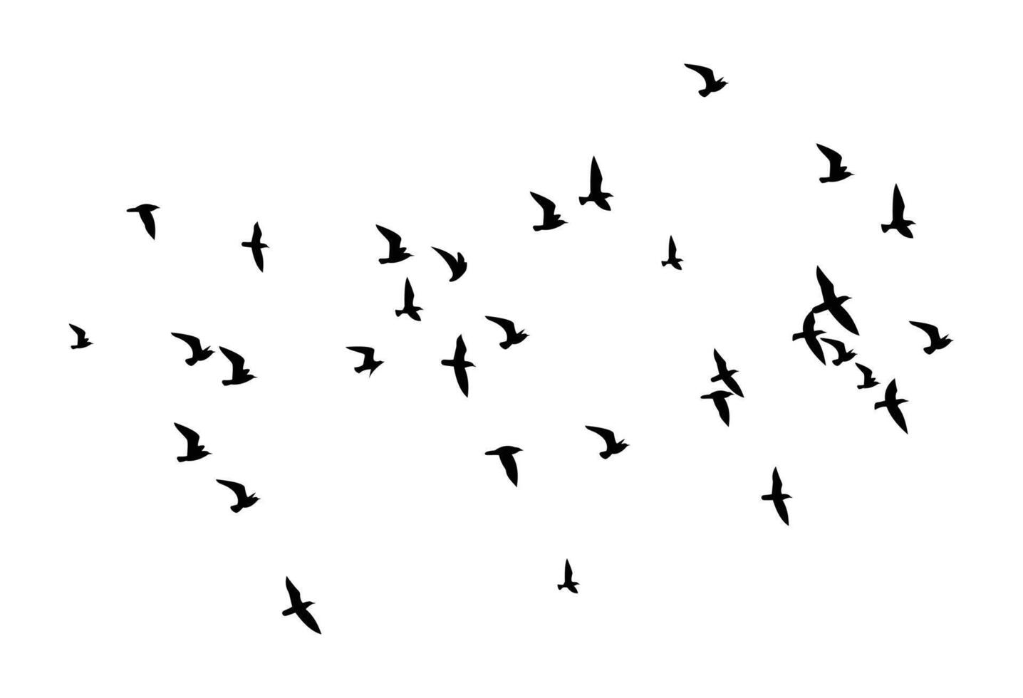 Flying Birds Silhouette Flock White Background vector