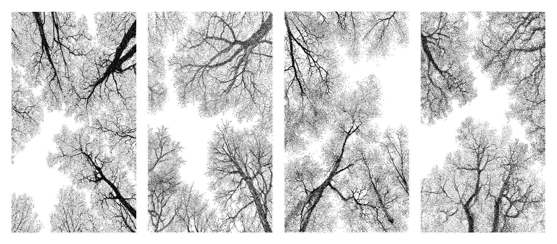 Bare tree silhouette pack textured halftone stipple branches view from below artistic winter forest transparent background natural ink style hand drawn trees vector