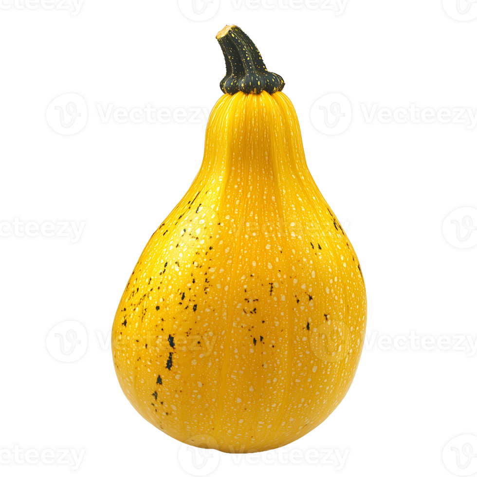 A yellow crookneck squash displays speckled markings and ribbed texture on transparent background png