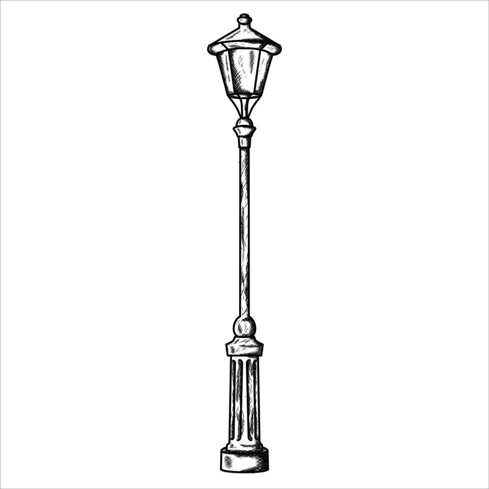 garden light illustration hand draw style in vintage engraved sketch outline style. vector