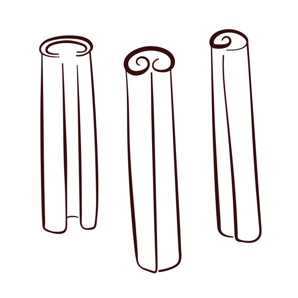 Three cinnamon sticks collection in line art style isolated on white background. Perfect for food, herb, spice, culinary and organic ingredient design. vector