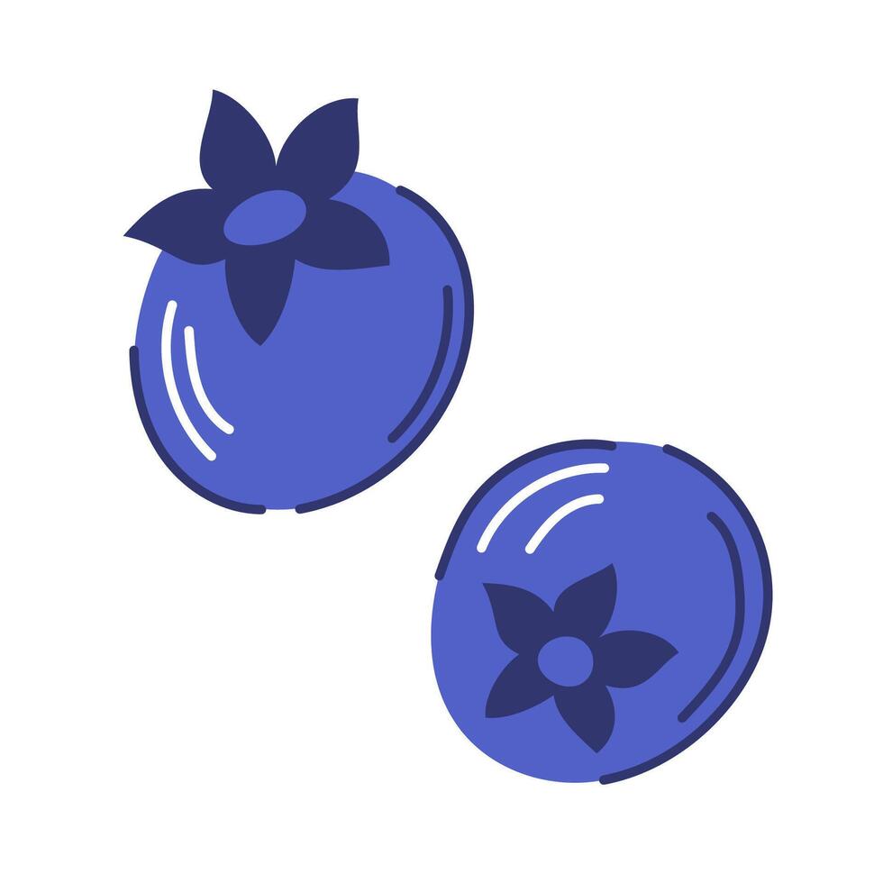 Fruit blueberry in flat style isolated on a white background. vector