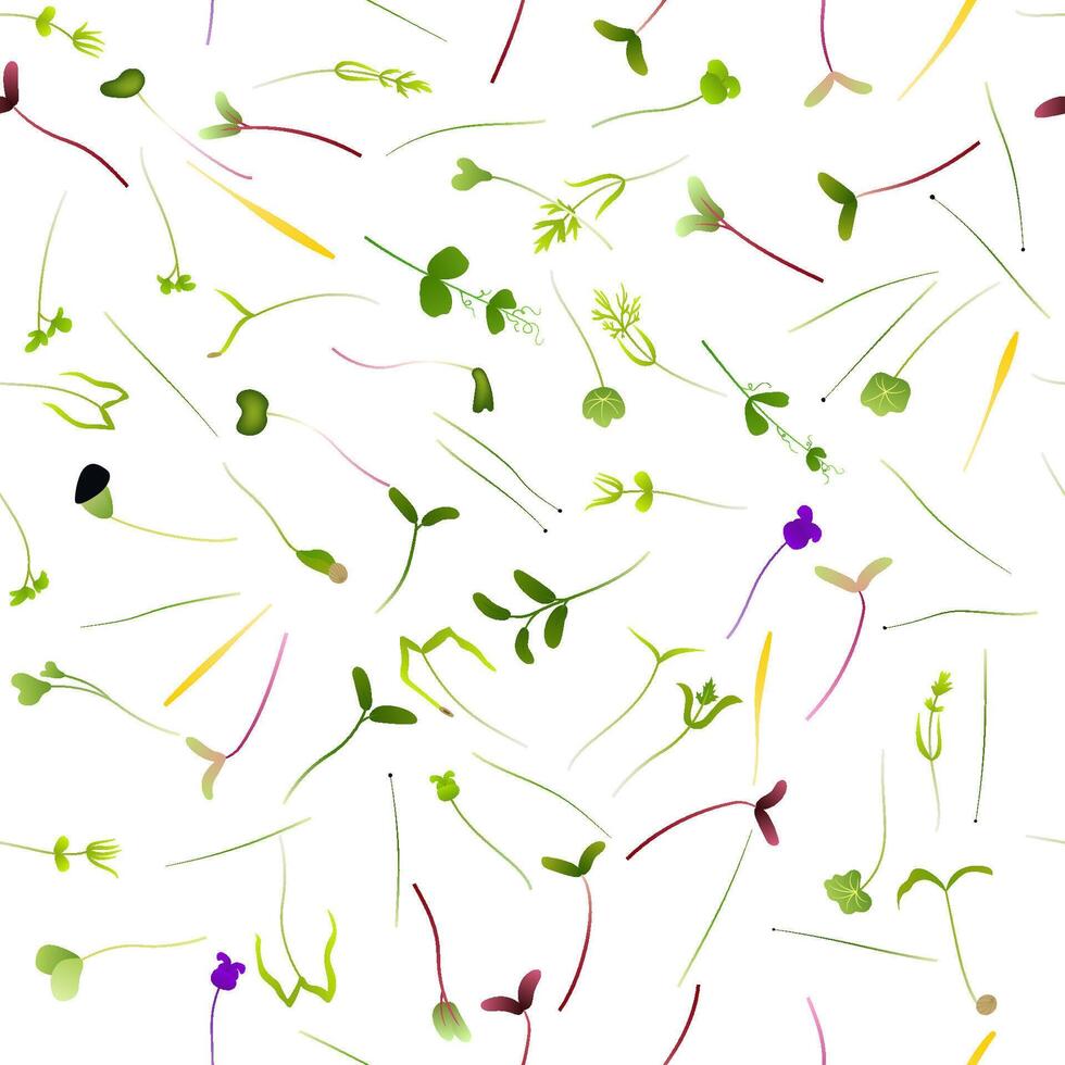 Microgreens of various types growing on a white background creating a seamless pattern, healthy food and vegan lifestyle concepts vector